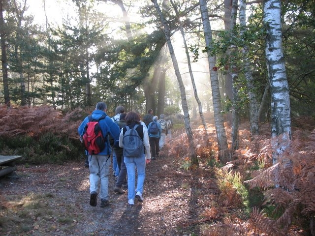 2007 10 Bois de Rochefort 03